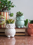 Owl Vase Magnets, Set of 4